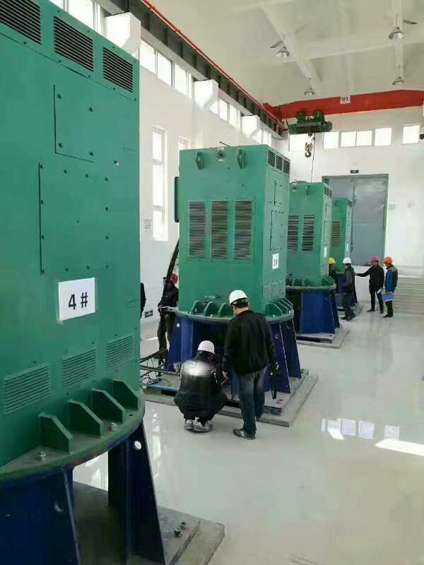YKK5001-6某污水处理厂使用我厂的立式高压电机安装现场